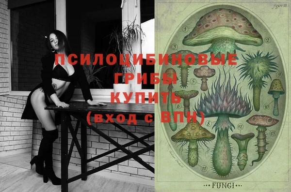 дмт Алексин