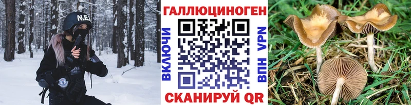 Псилоцибиновые грибы ЛСД  Грайворон 